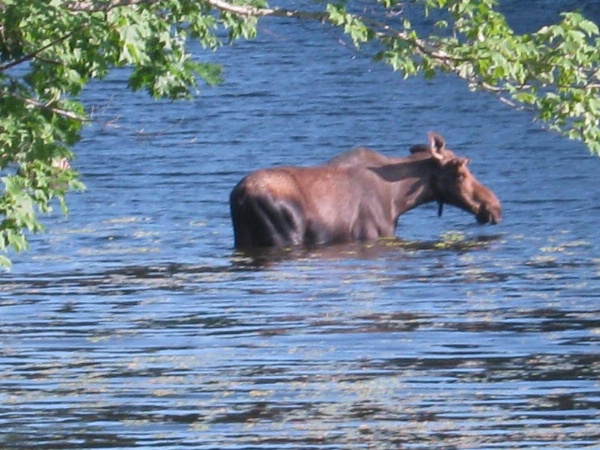 Alamoosook Lakeside Inn Orland image 12