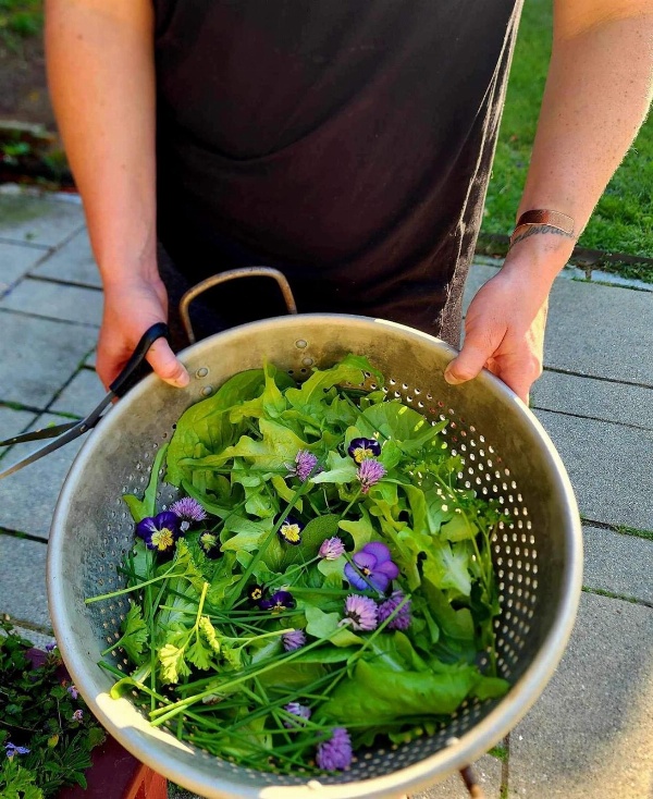 Alamoosook Lakeside Inn Orland Main image